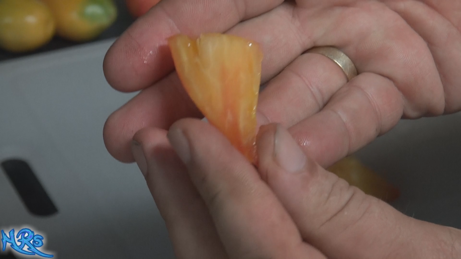 Orange Russian 117 tomato
