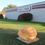 Thumbnail: Dill's Atlantic Giant Pumpkin