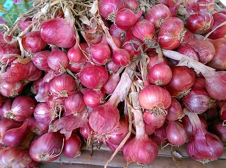 Thumbnail: Red Burgundy Onion