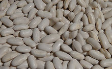 Blue Lake Stringless Pole Bean (2).JPG