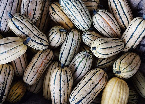 Delicata Squash