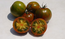 Spud Viper Tomato (2).JPG