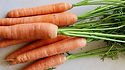 Here is the Scarlet Nantes Carrot, Daucus carota. It is a medium orange carrot root with an average size of 6 inches in length and 1 to 1.5 inches in diameter. It was first developed in France in 1850's and has sparse foliage with a cylindrical and short blunt tip. They are brittle but crunchy and high in sugar. They don't store as well in the open as other verities but are much better when freezing them. Nantes is a great tasting, tender but crisp carrot witch make a great juicing carrot and is our top choice for juicing. Open pollinated 60 to 70 days for root harvest and 2 years for seeds.