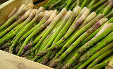 Mary Washington Asparagus