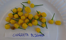 Aji Charapita Pepper