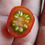 Thumbnail: Here is the Koralik Tomato, Solanum lycopersicum. This tomato originates from Russia. The fruits are a red cherry tomato with