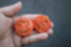 Thumbnail: Here is the Maja Tomato, Solanum lycopersicum Aka Maya tomato. This tomato originates from Sweden and was developed by Åke Tr