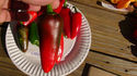 Here is the Chipotle Pepper, Capsicum annuum, Scoville units: 10,000+ SHU. It is Confusingly named as Chipotle but can refer to any smoked pepper, but this is a variety of its own, with fruits about 3 inches long with similar characteristics to the jalapeno. Flavor is medium heat, with smoky overtones and excellent for use as a jalapeno. Plants get to 30 inches but can reach 3 feet. Open pollinated 80 days