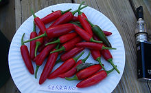 Serrano Pepper