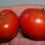 Thumbnail: Here is the Arbuznyi Tomato, Solanum lycopersicum This Russian verity is a rare tomato type and hard to find in the USA. "arb