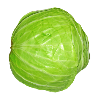 Drumhead Cabbage
