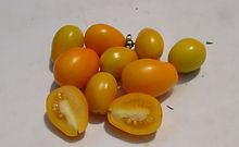 Small Yellow Plum Tomato (2).JPG