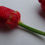Thumbnail: 7 pot bubblegum pepper