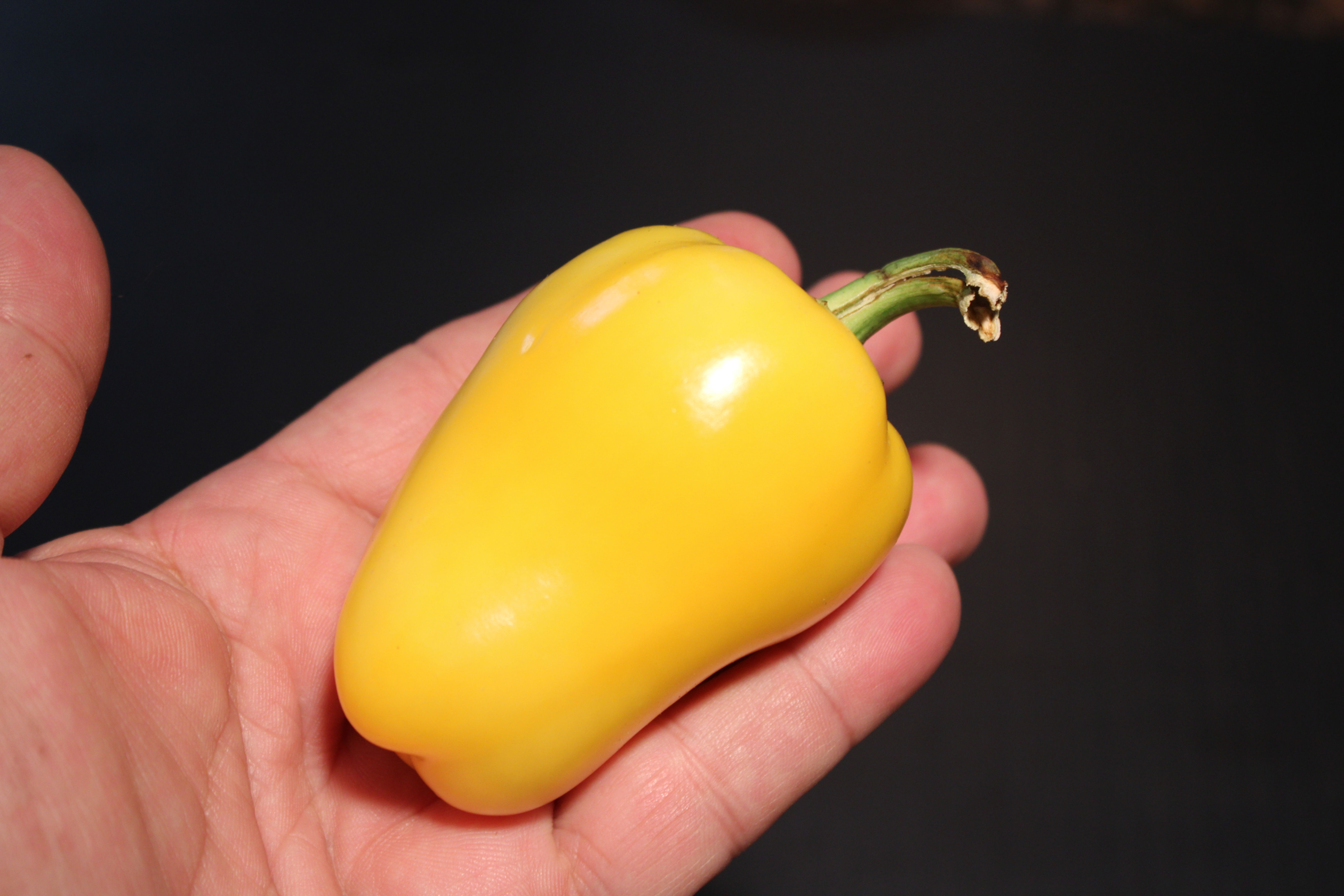 Here is the Bull's Heart Gold Pepper, Capsicum annuum, Scoville units: 000 SHU. This Pepper originates from the USA. This pep