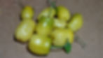 Here is the Manzano Yellow Pepper, Capsicum pubescens, scoville units: 30,000 SHU. It is a black seed variety! Extremely hot,