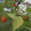 Thumbnail: Here is the Peito de Moça Pepper, Capsicum baccatum, Scoville units: 10,000 ~ 50,000 SHU. This pepper originates from Brazil