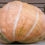 Thumbnail: Dill's Atlantic Giant Pumpkin