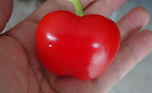 turkish sweet ball pepper (6).JPG