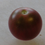 Thumbnail: Here is the Kazachka Purple Cherry Tomato, Solanum lycopersicum. This tomato originates from the country of Russia. It is con