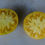 Thumbnail: Here is the Golden Domes Tomato, Solanum lycopersicum. This tomato originates from Russia. It is also know as Zolotye kupola,