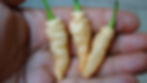 Thumbnail: Here is the Peach Wasp Pepper, Capsicum Chinense, Scoville units: 10,000 to 15,000 SHU. This caterpillar type pepper originat