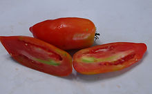 Here is the Jersey Devil Tomato Solanum lycopersicum, A Pendulant, pointed, elongated like fruits are slow to set but yield very heavily. Tomatoes are 5 to 6 inch's long with ruby red, paste type fruits are very meaty and have few seeds. Most Incredible flavor! This variety was another pillar of the New Jersey tomato industry, and is an ancestor to "Jersey Giant." Jere Has been growing these for 20 years and they are a favorite! Indeterminate, regular leaf. Open pollinated 85 days from transplant.
