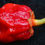 Thumbnail: Here is the 7 Pot Bubblegum Pepper, Capiscum chinense, Scoville units: 600,000 to 1,000,000 SHU. This pepper originates from