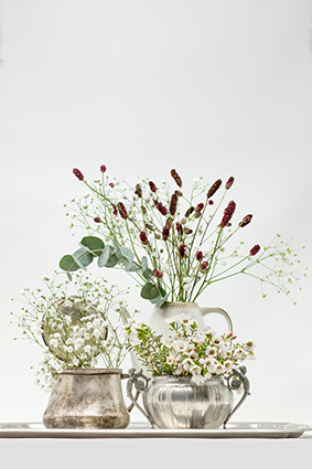Blumen 