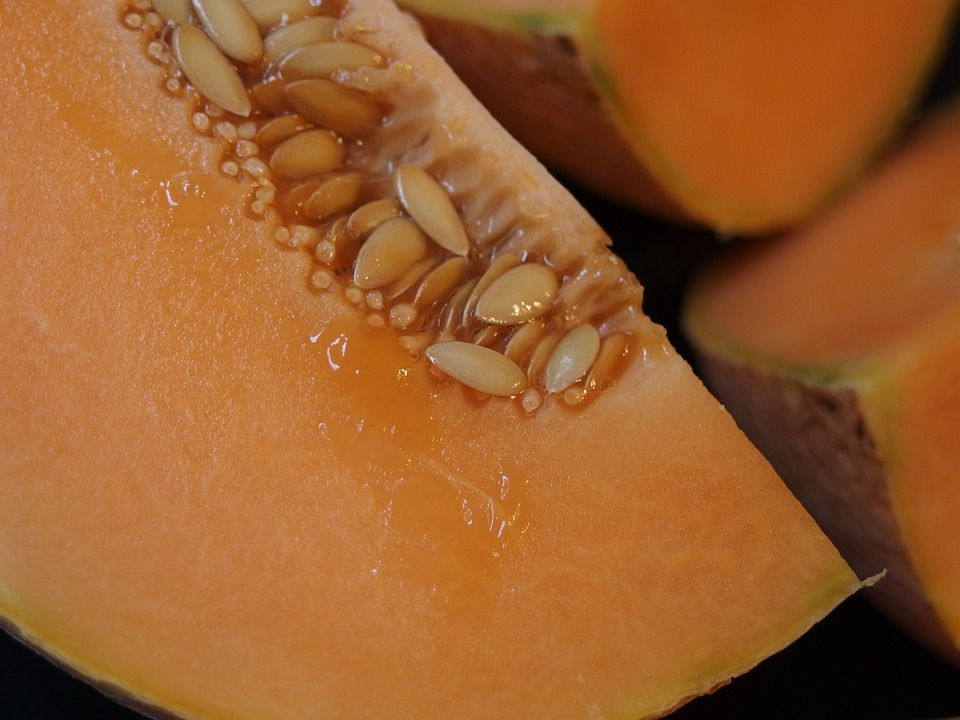 Thumbnail: Here is the Heart of Gold Cantaloupe Melon, Cucumis melo var. cantalupo. The Heart of Gold Cantaloupe Melon is a old heirloom