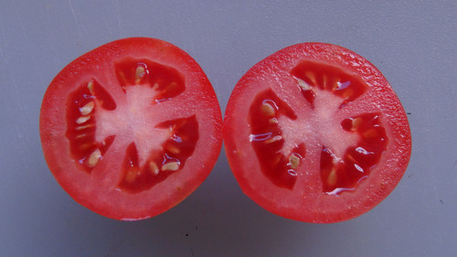Heinz 1706 Tomato | hrseeds