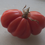 Thumbnail: The Zapotec tomato, Solanum lycopersicum is a fantastic tasting tomato! The fluting on the tomato brings in an old world toma