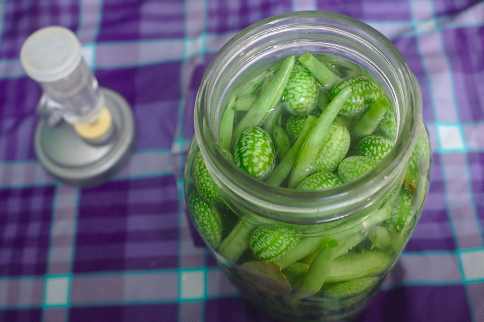 Thumbnail: Here is the Mexican Sour Gherkin Seeds, Melothria scabra, A newly rediscovered heirloom. This mini cucumber produces abundant