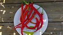 Cayenne Sweet Pepper, Capsicum annuum