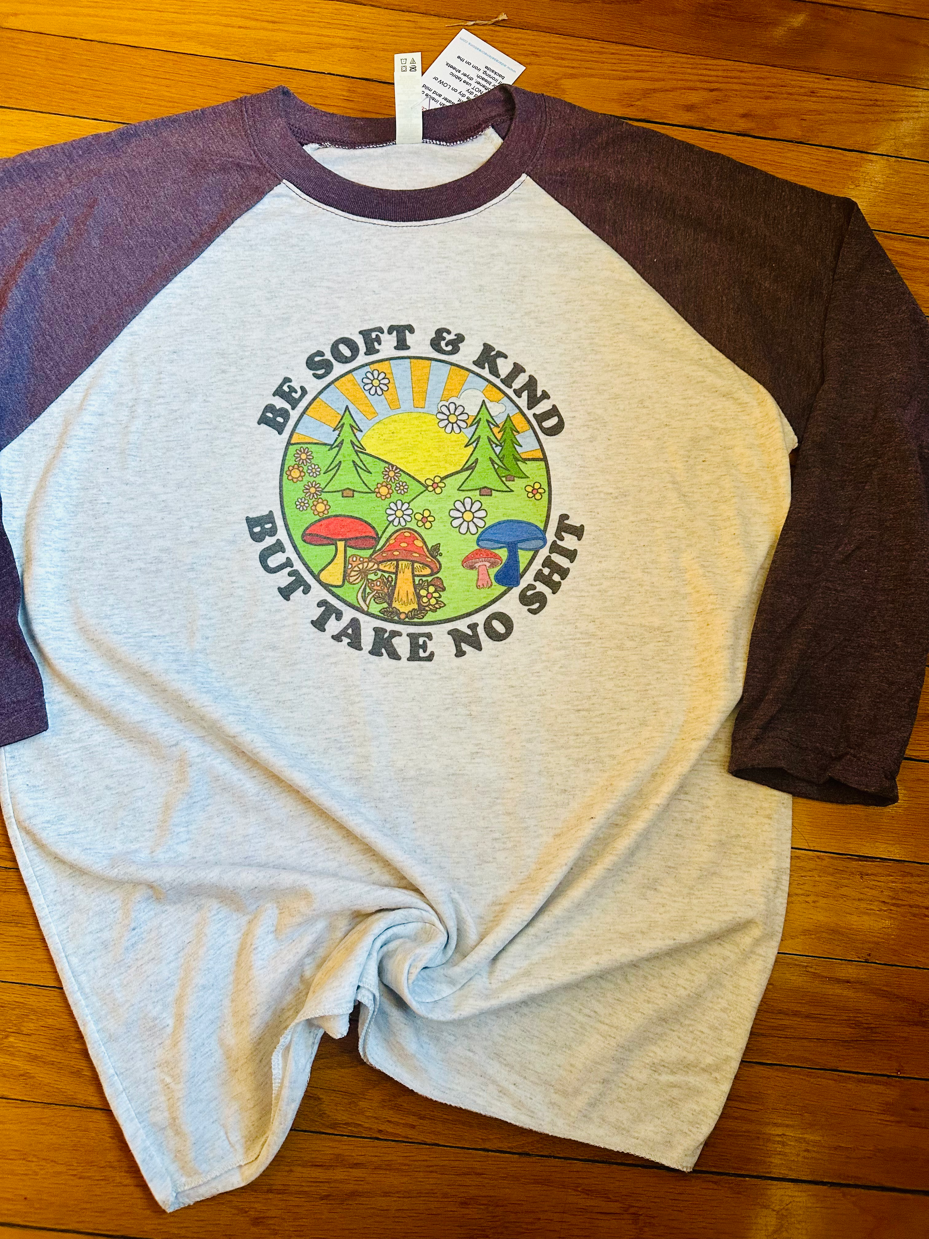 Be Soft & Kind Raglan Shirt