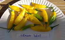 Lemon Drop Pepper