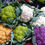 Thumbnail: Green Macerata Cauliflower