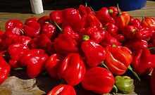 Orange Pimiento Habanero Pepper