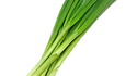Here is the Tokyo Long White Scallion, Allium fistulosum. They can also be called green onions or bunching onions. This particular variety originates from Tokyo Japan. This is the best type of scallion for make stir fry dishes and eating fresh. Plants get to around 18 inches tall and grow well close together. They have an amazing flavor and cook very fast! You can over winter them and they will come up ever year. They are Insect an disease resistant and seeds the following year. Open pollinated 75 days.