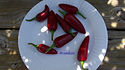 Here is the Hungarian Black Pepper, Capsicum annuum, Scoville units: 1,000+ SHU. This variety is considered to be rare in it's natural environment. The pods can easily reach 3 inches long and one inch wide. Pods start out black and stay black then turn maroon red when fully rip. They can be eaten at any stage, and many people prefer this type of pepper for frying due to the thick meaty flesh. Plants can get to 3 feet tall and sprawl out a bit but good pruning can keep it more compact. It also makes a great ornamental as well. Open pollinated, 71 days.