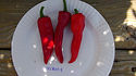 Here is the Melrose Sweet Pepper also known as the Melrose sweet frying Pepper, Capsicum annuum, Scoville units: 000+ SHU. This sweet Italian variety is named after the neighborhoods in Melrose Park, Illinois that used it for years. Melrose sweet frying peppers are an excellent early variety, producing 4" red pods! We grow them fresh every year and now offer their seeds. Plants get to around 3 feet tall. Open Pollinated, 70-90 days.