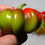 Thumbnail: Here is the Gamba Pepper, Capsicum annuum, Scoville units: 000 SHU. It is also known as Gambo pepper an is a Ratund or flatte