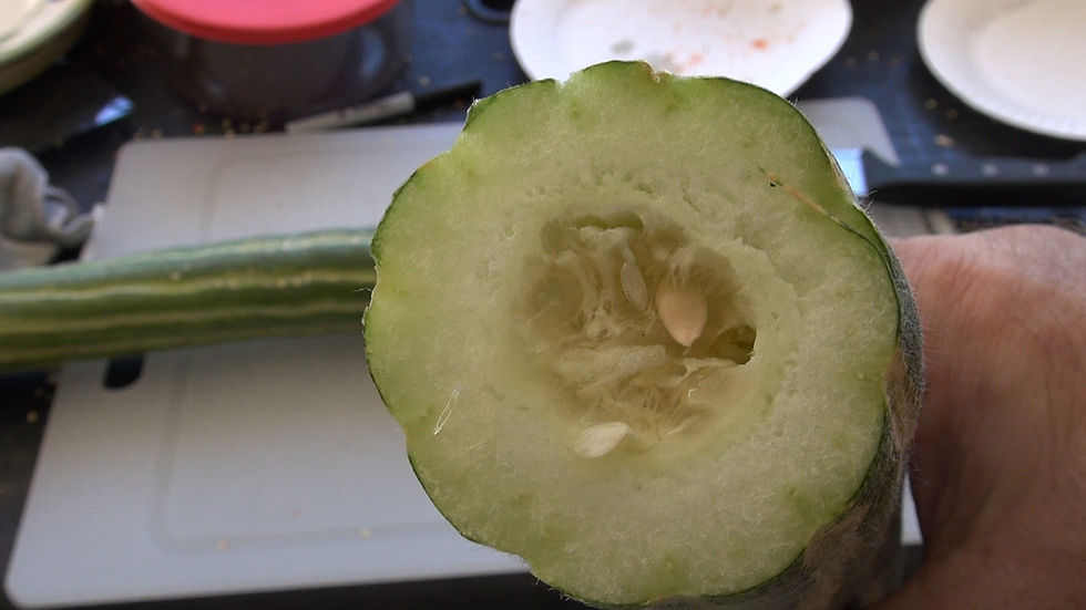 Thumbnail: Painted Serpent