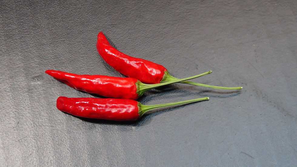 Here is the Sonoran Desert Chili Pepper, Capsicum annuum, Scoville units: 10,000 to 65,000+ SHU, This pepper originates from