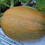 Thumbnail: Here is the Heirloom Spaghetti Squash, Cucurbita pepo subsp. pepo.  It is also known as the Gold String Melon. Thy are among