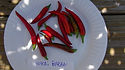 Here is the Yukari Bakan Pepper, Capsicum annuum, Scoville units: 6,000+ SHU. This is another Turkish pepper that has upright peppers. The peppers grow upwards in a cluster form of 10 to 12 peppers on every batch. These peppers make a great chili powder and can produce as many as 100 pods per plant! That is a lot of chili! We gather seeds every year and eat dozens of fresh peppers. This chili plant makes a great indoor/outdoor potted plant an will grow for many years. Plants get to around 30 inches but sometime 3 feet. Great for pickling too! Open pollinated 77 days.