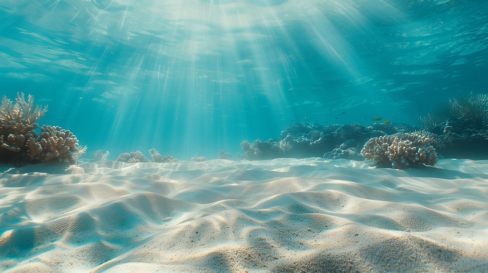 Sunlight beams penetrate the clear blue water, illuminating the sandy ocean floor and cora