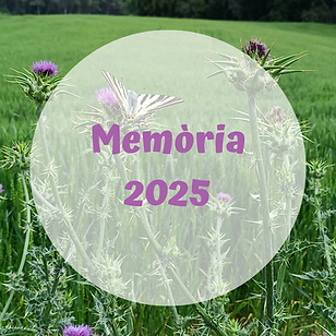Memòria.png