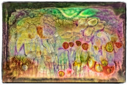 In the Dutch mountains