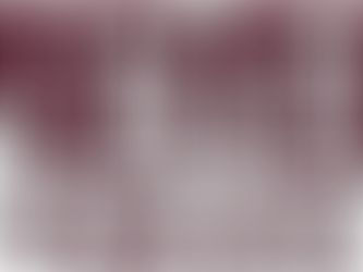 Thank You to Our Summer Conference Sponsors!