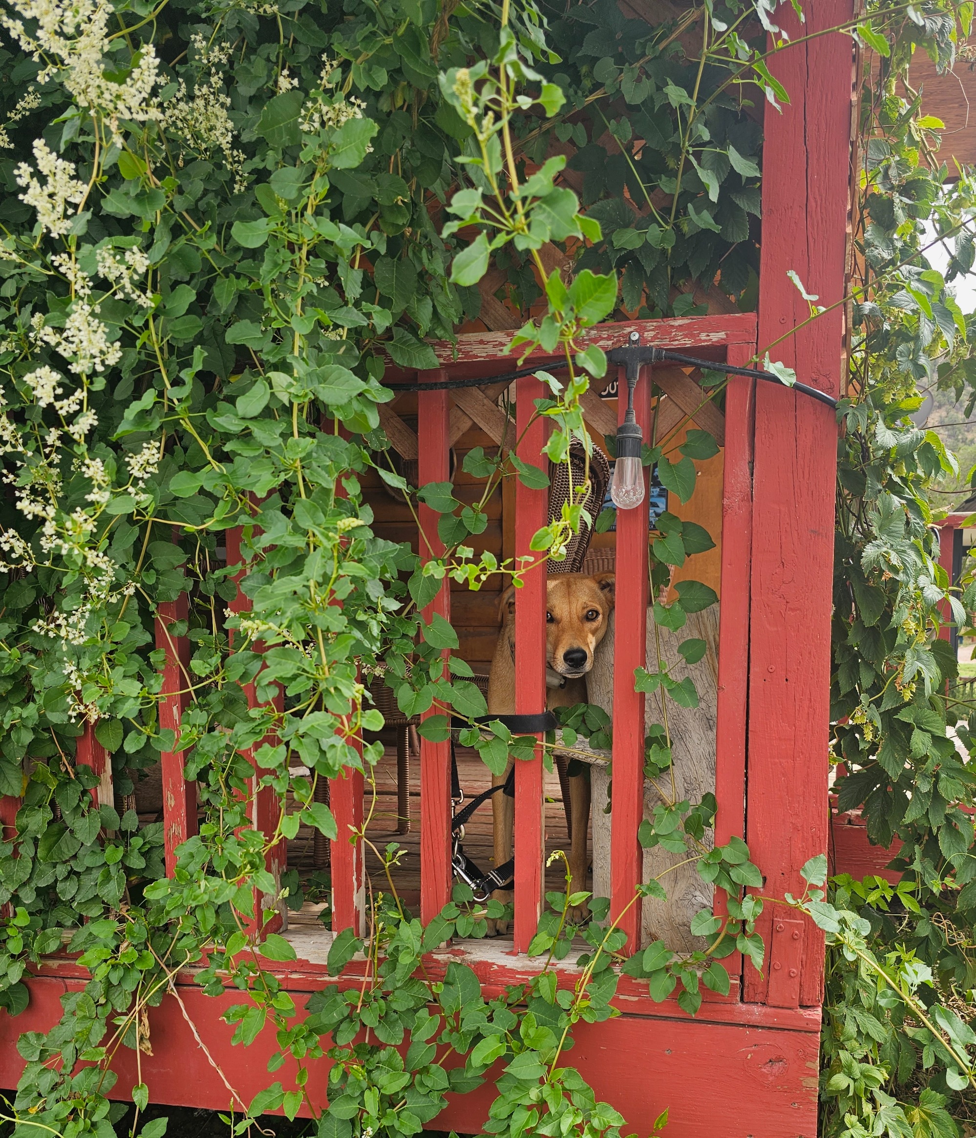 El Morro RV Park & Cabins - Main photo